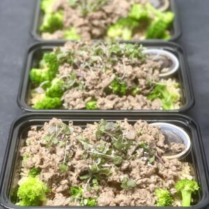 LEANBOX Broccoli Beef